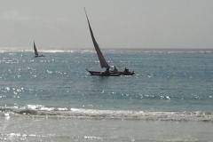 Zanzibar 2013